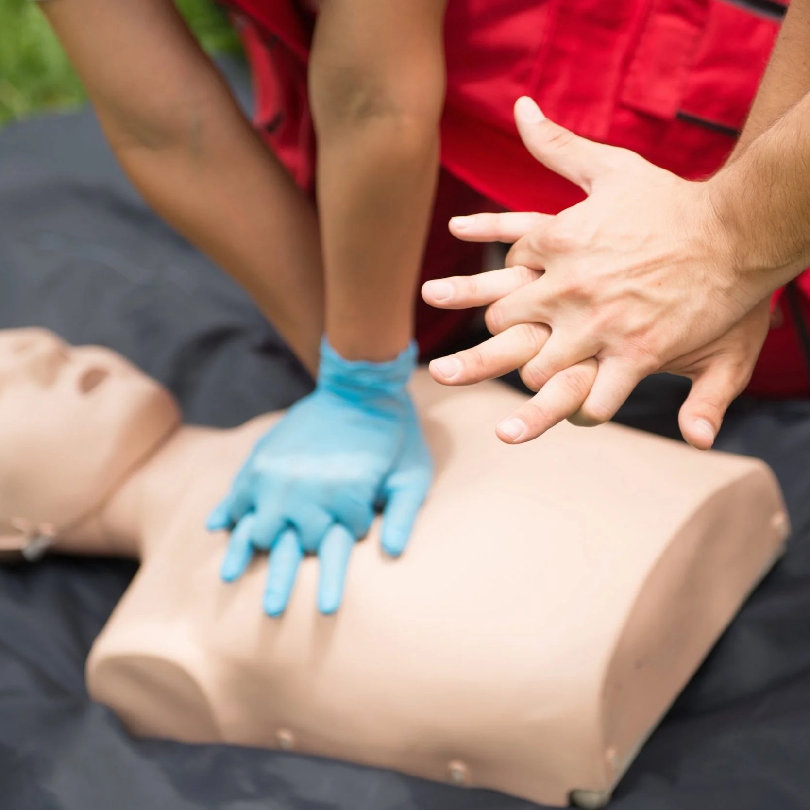 BVMA-CPR-Course-Colorado.jpg