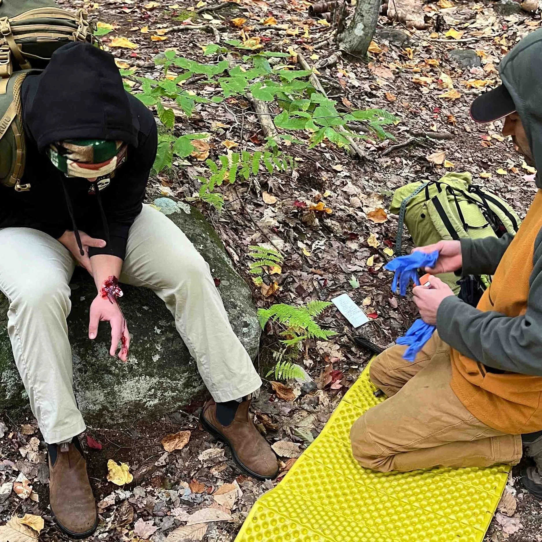 BVMA-Wilderness+Medicine.jpg