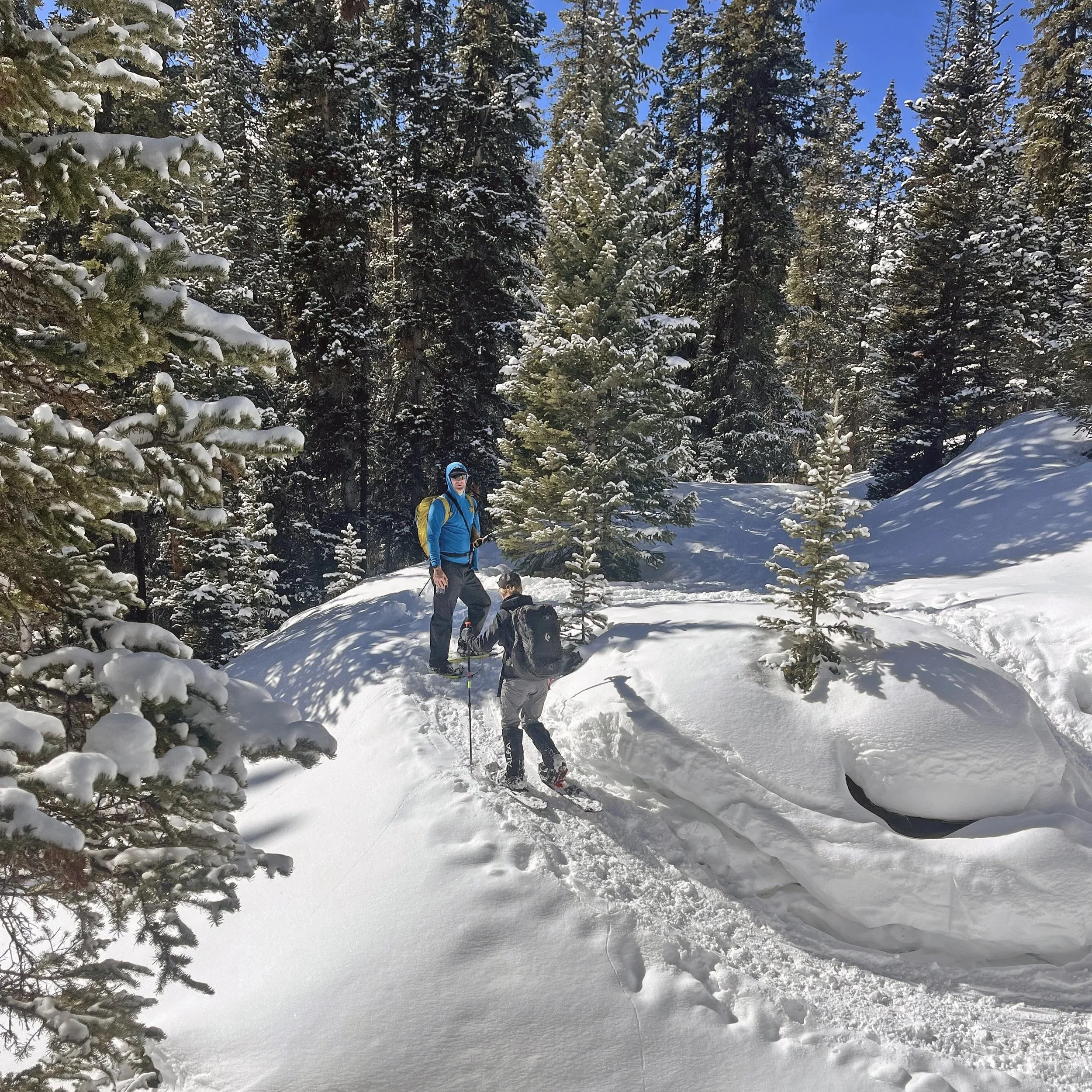 BVMA-AIARE-Snowshoe-2.jpg