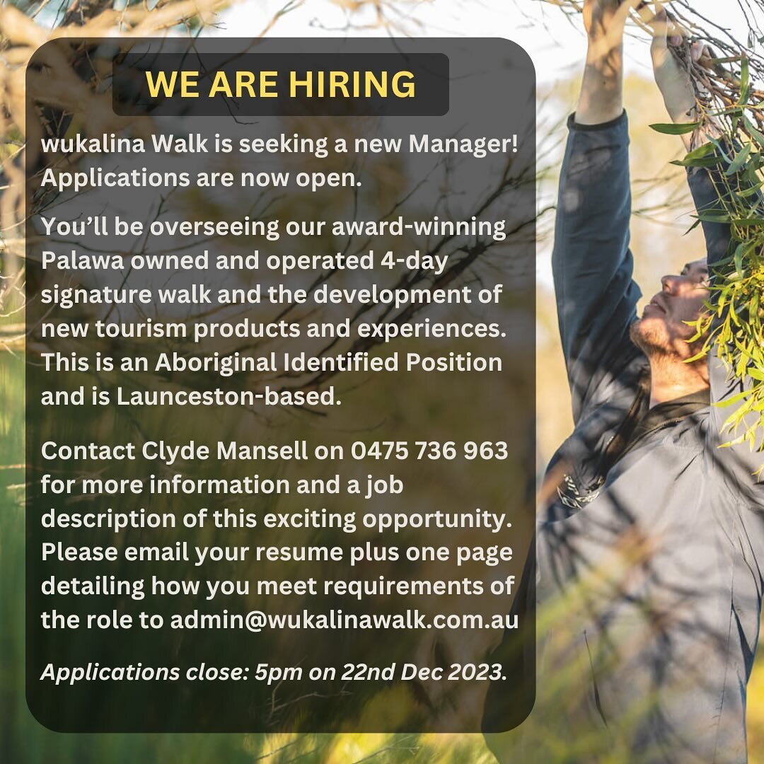 We are hiring 🖤💛❤️

🌱 wukalina Walk is seeking a new Manager! Applications are now open.

You&rsquo;ll be overseeing our award-winning Palawa owned and operated 4-day signature walk and the development of new tourism products and experiences. This