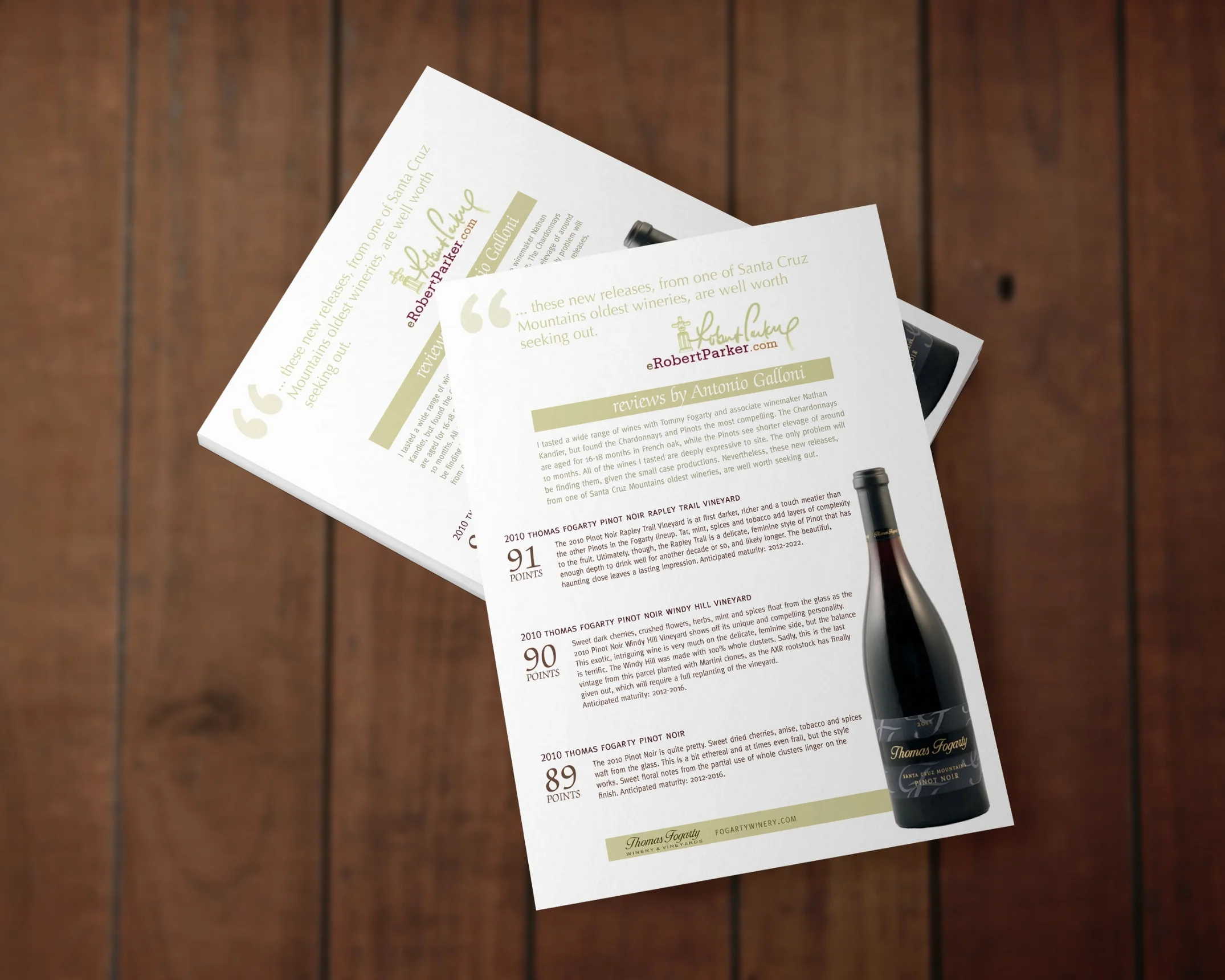 Promotional Flyer
