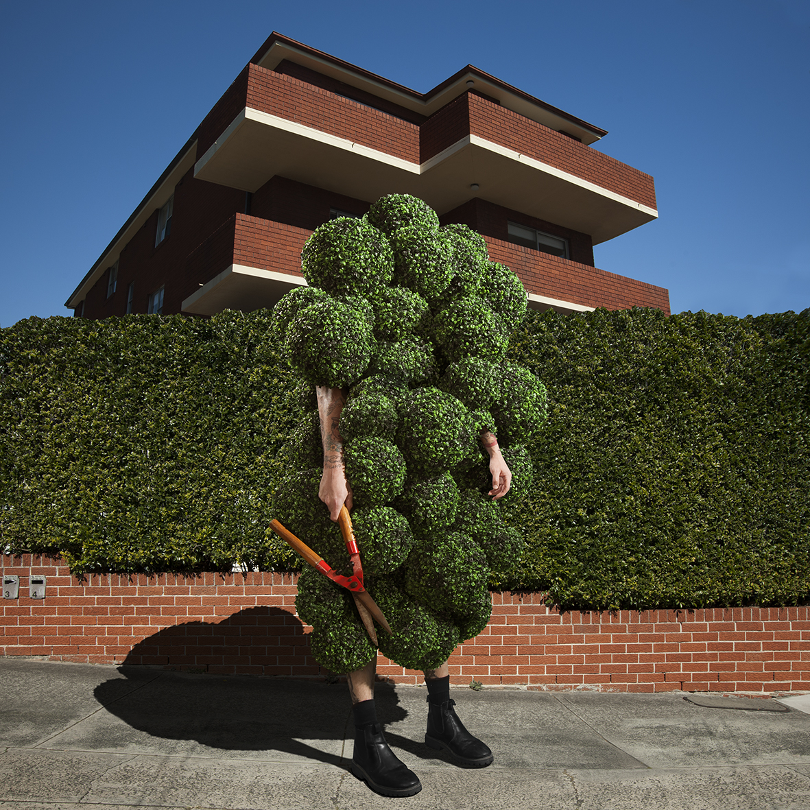 Gerwyn-Davies-Hedge.jpg