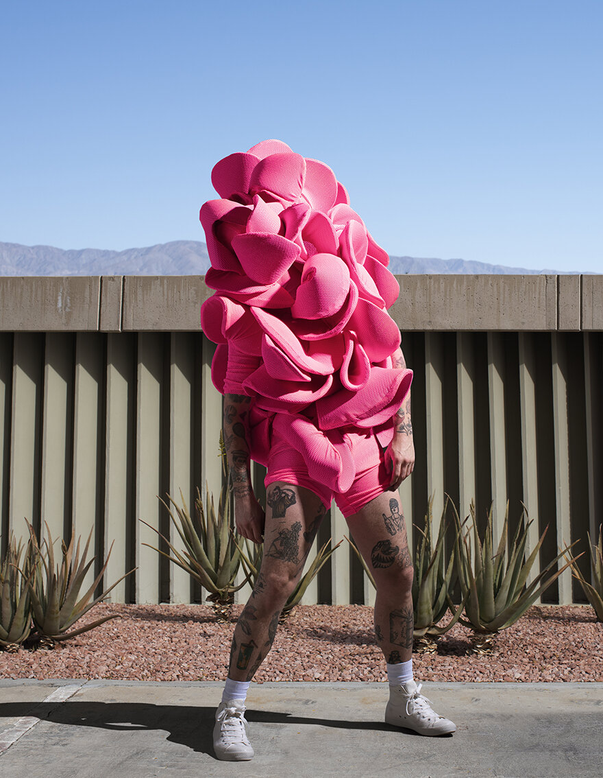 Gerwyn-Davies-Cactus.jpg
