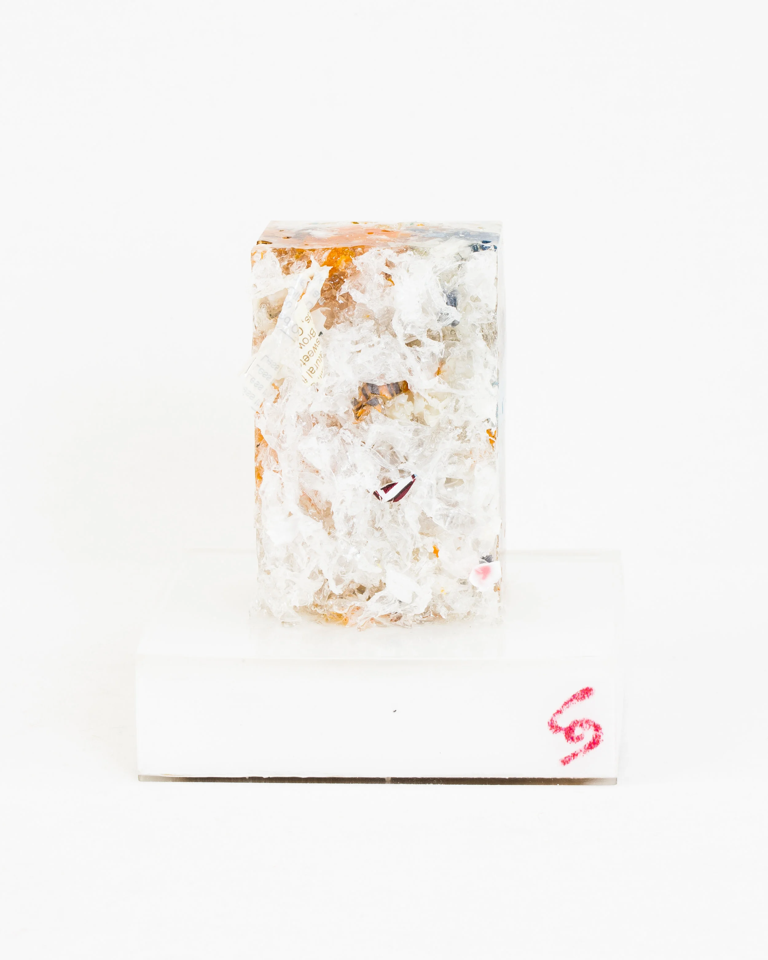 “LOLO"  - SIZE S (v3.3)