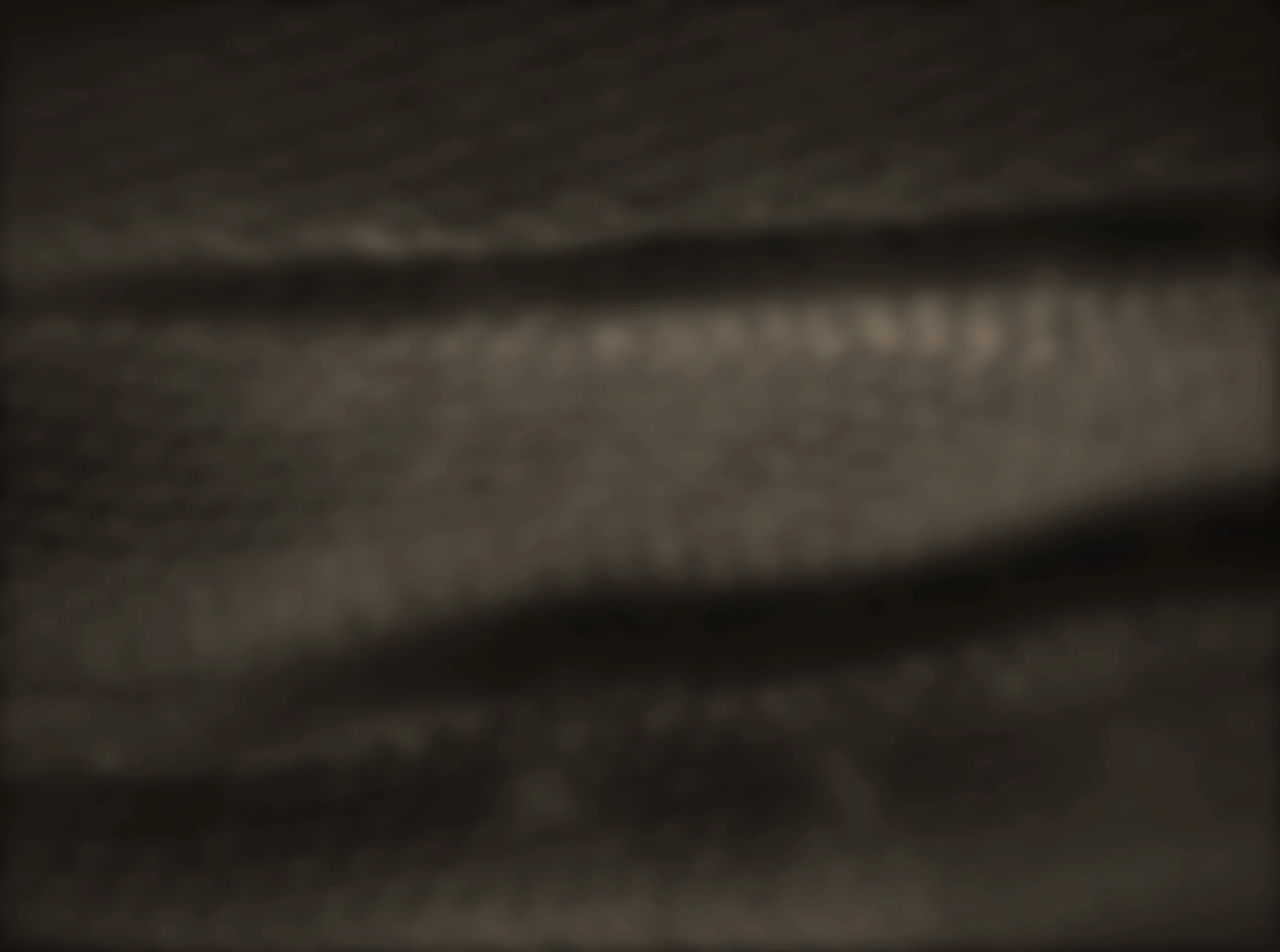 RAT-D089+web.jpg
