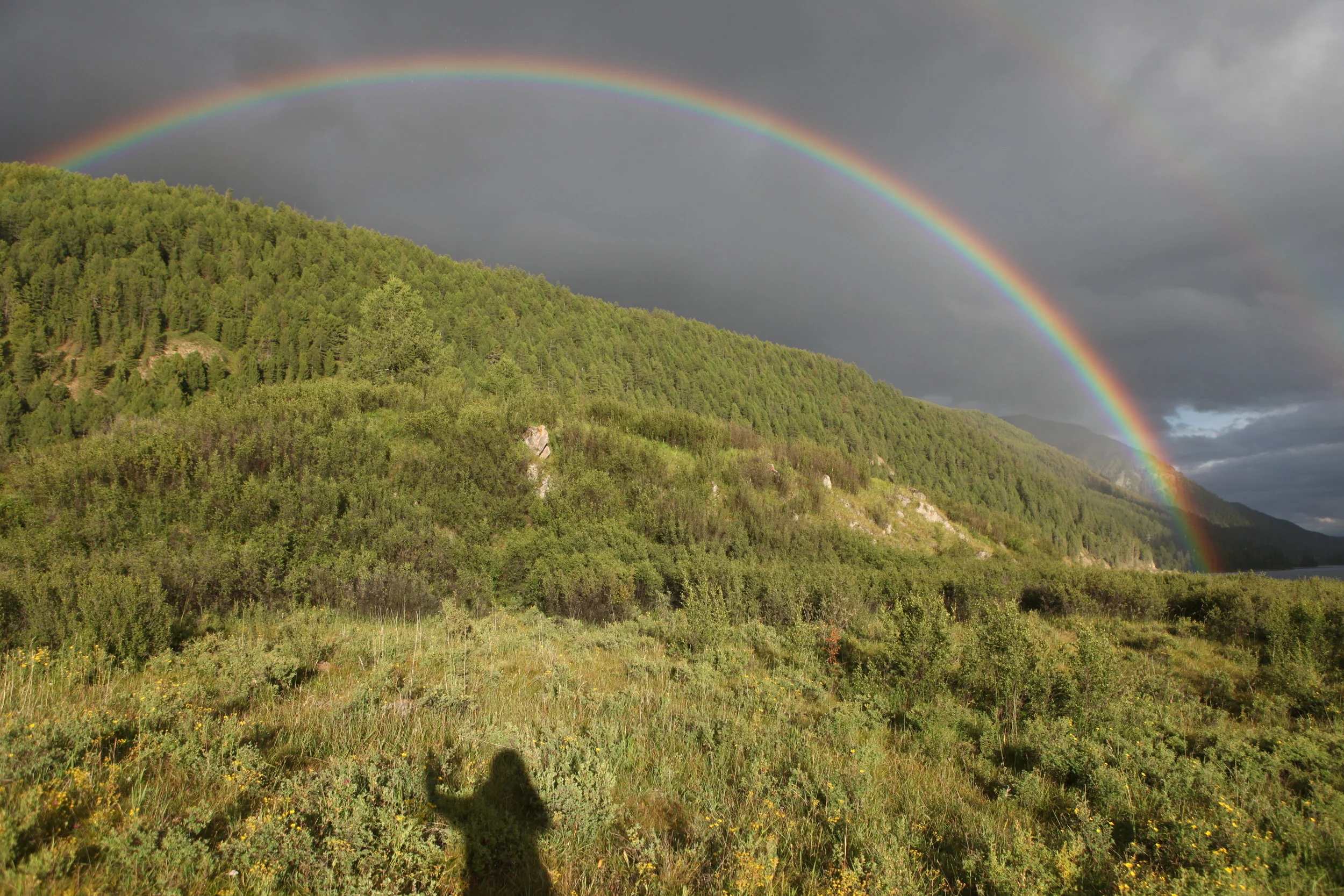 Mongolia 2013