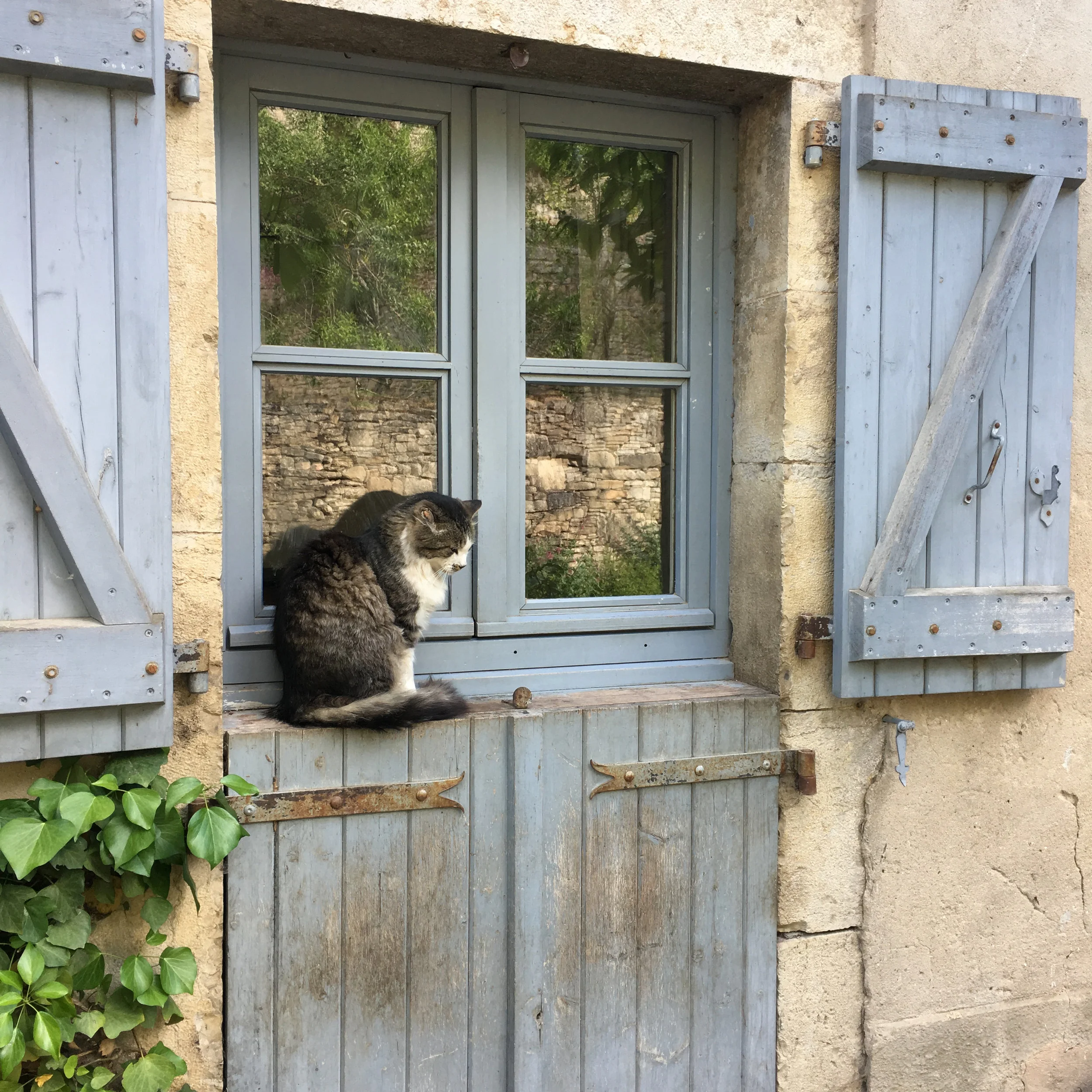 The Opening and Closing of French Shutters