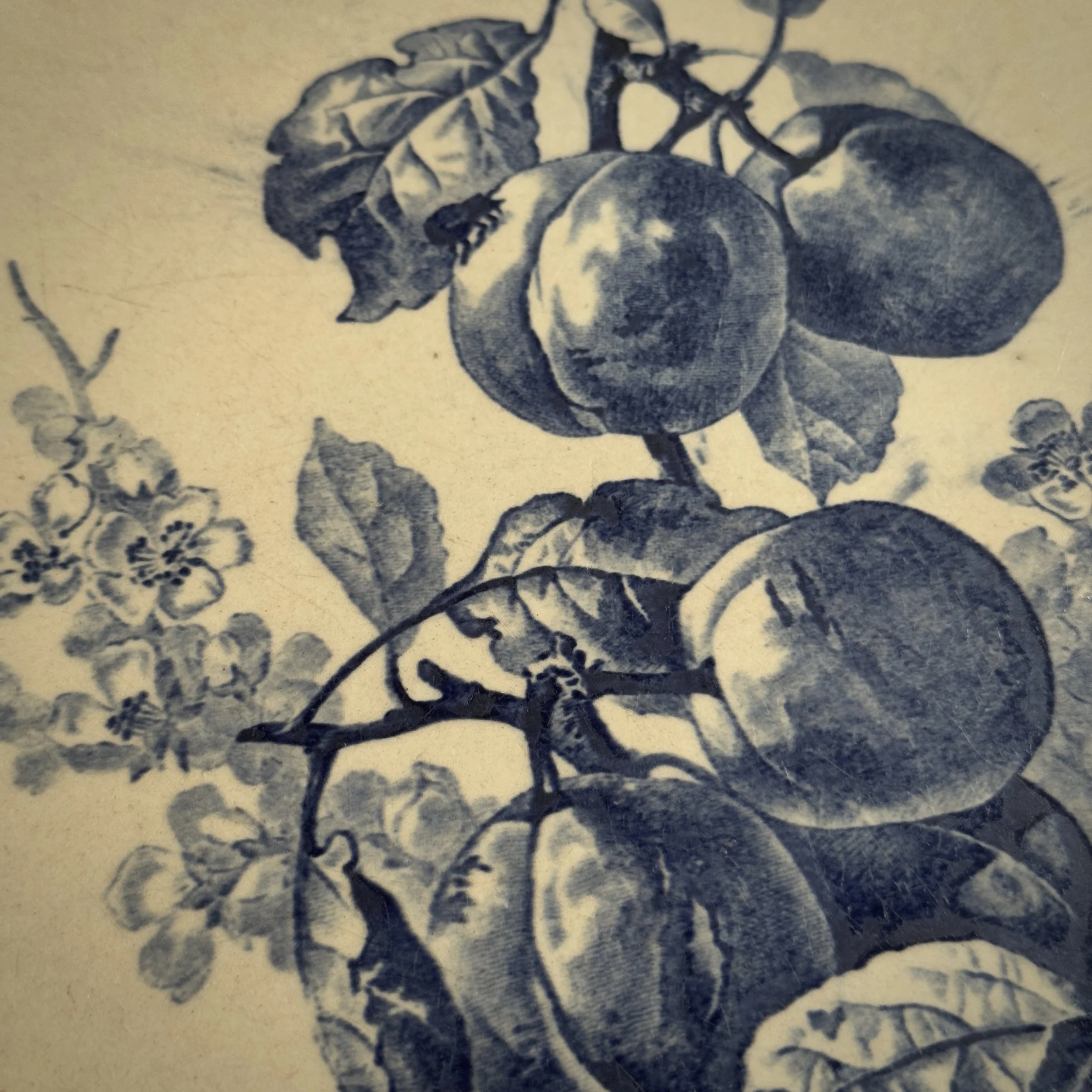 8E789186-5D9F-436E-84D8-FC58F9E82D88_1_201_a.jpeg