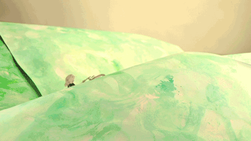 NoDogs_clip08.gif