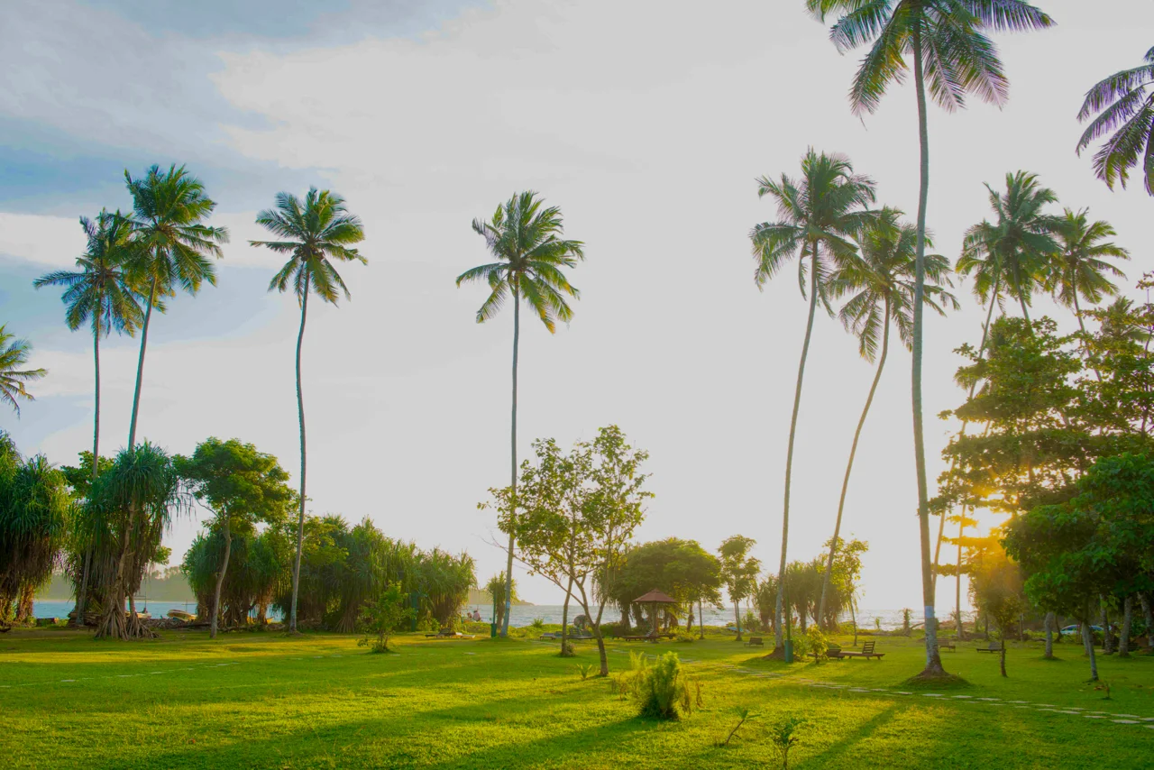 Talalla_Retreat_Sri_Lanka0158.jpg