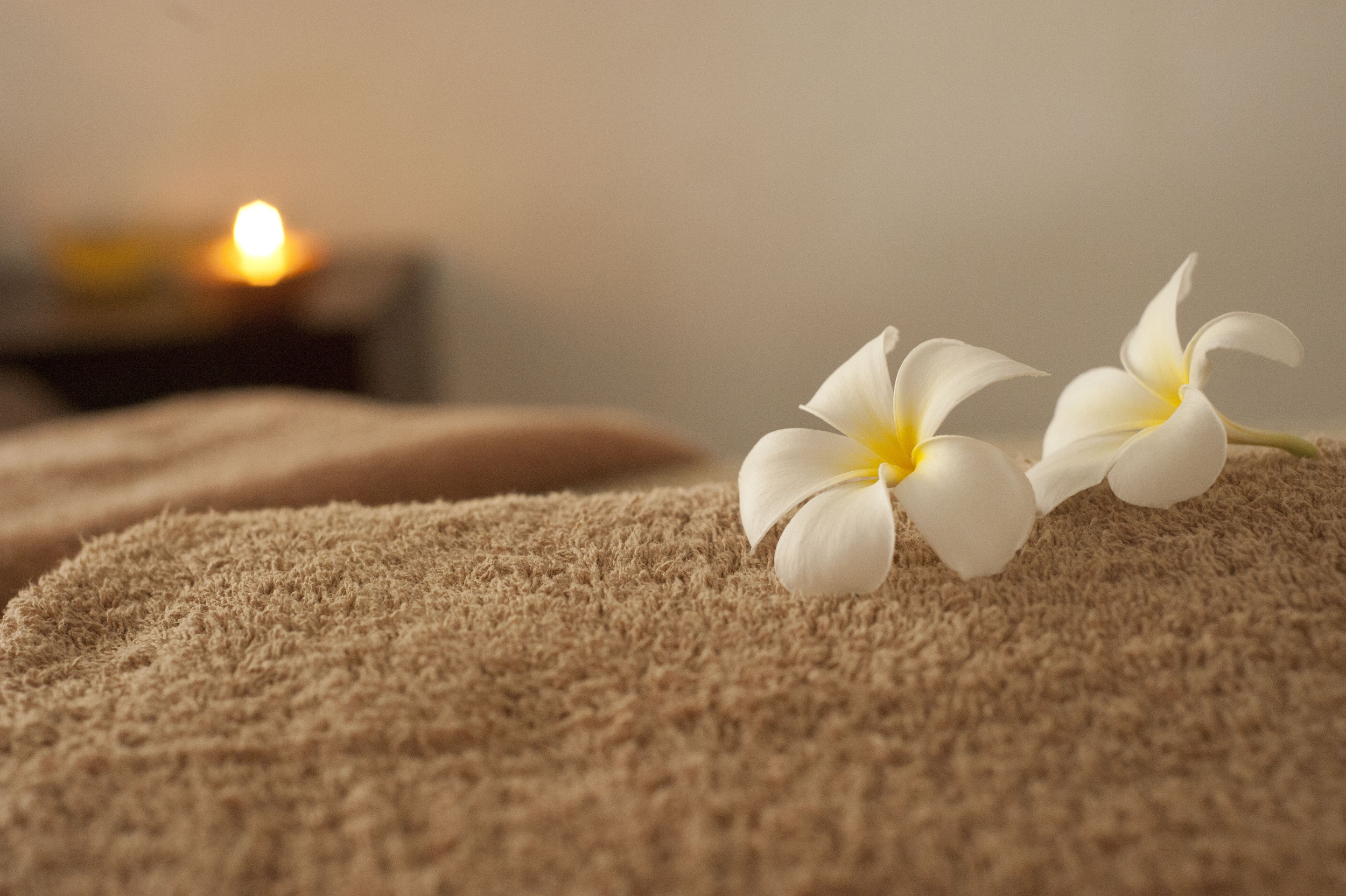 Calm and Clarity Ritual picture.png