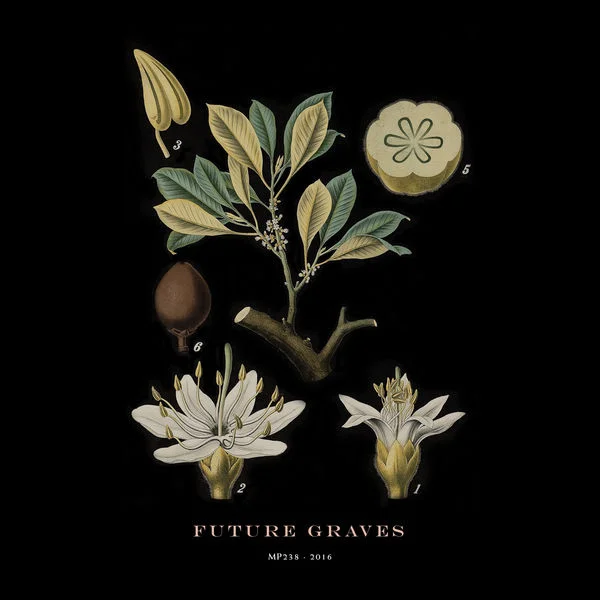 Hola-A-Todo-El-Mundo_Future-Graves.jpg