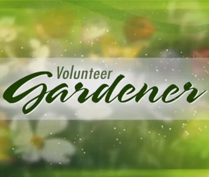 Volunteer Gardener - Phillipe Chadwhick Watch a video from our feature on the PBS show Volunteer Gardener