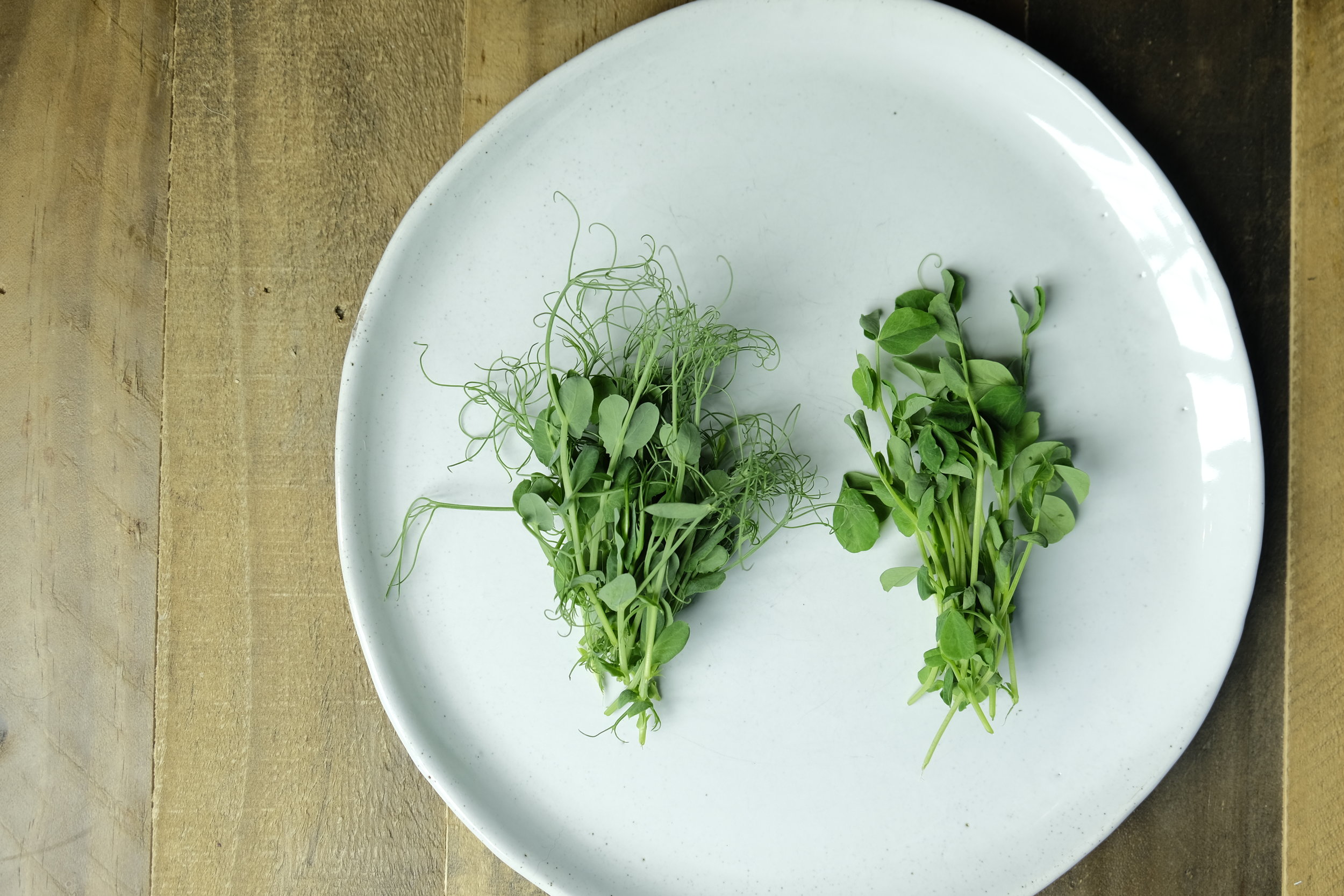 Pea Shoots