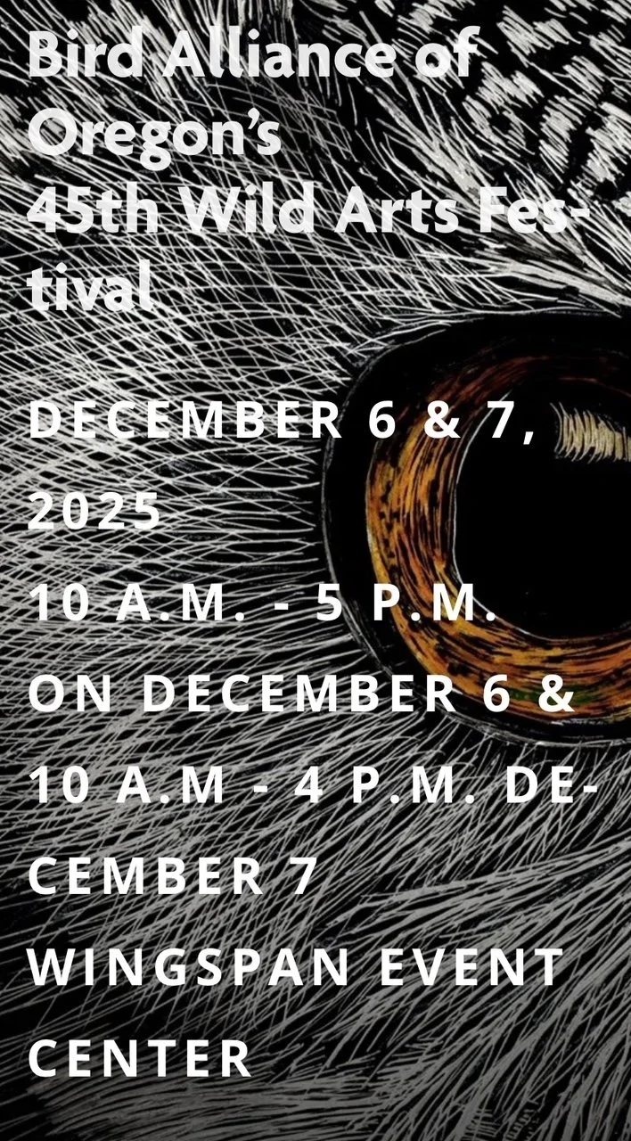 Wild Arts Festival