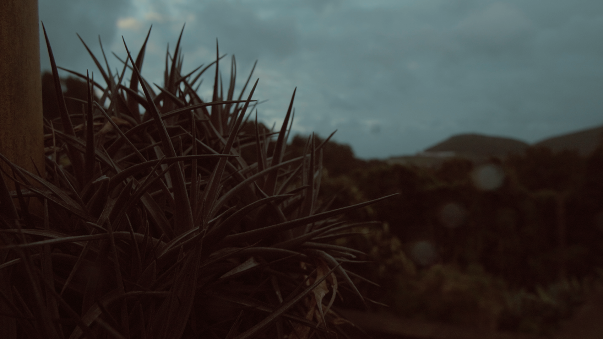 KANIZADI 01.00_18_45_22.Still058.png