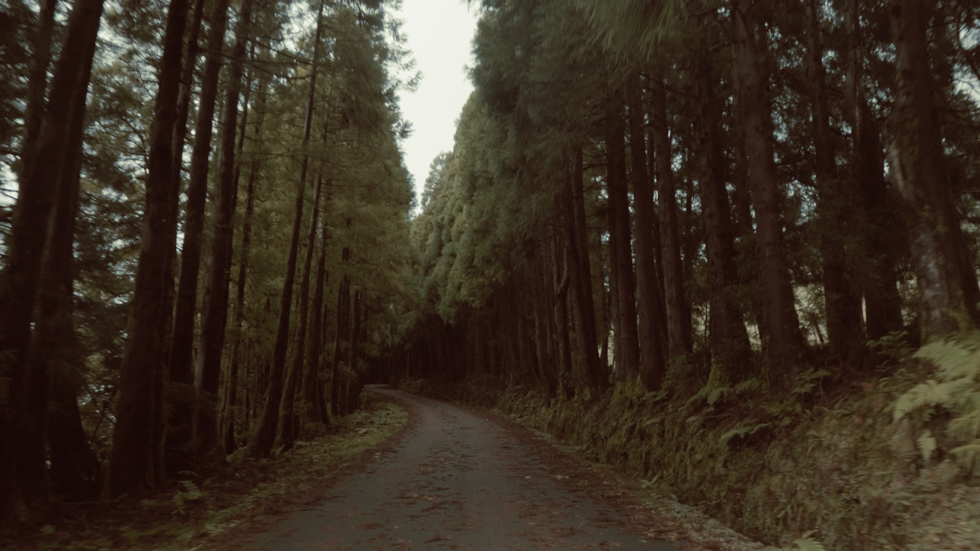 KANIZADI 01.00_16_35_01.Still057.png