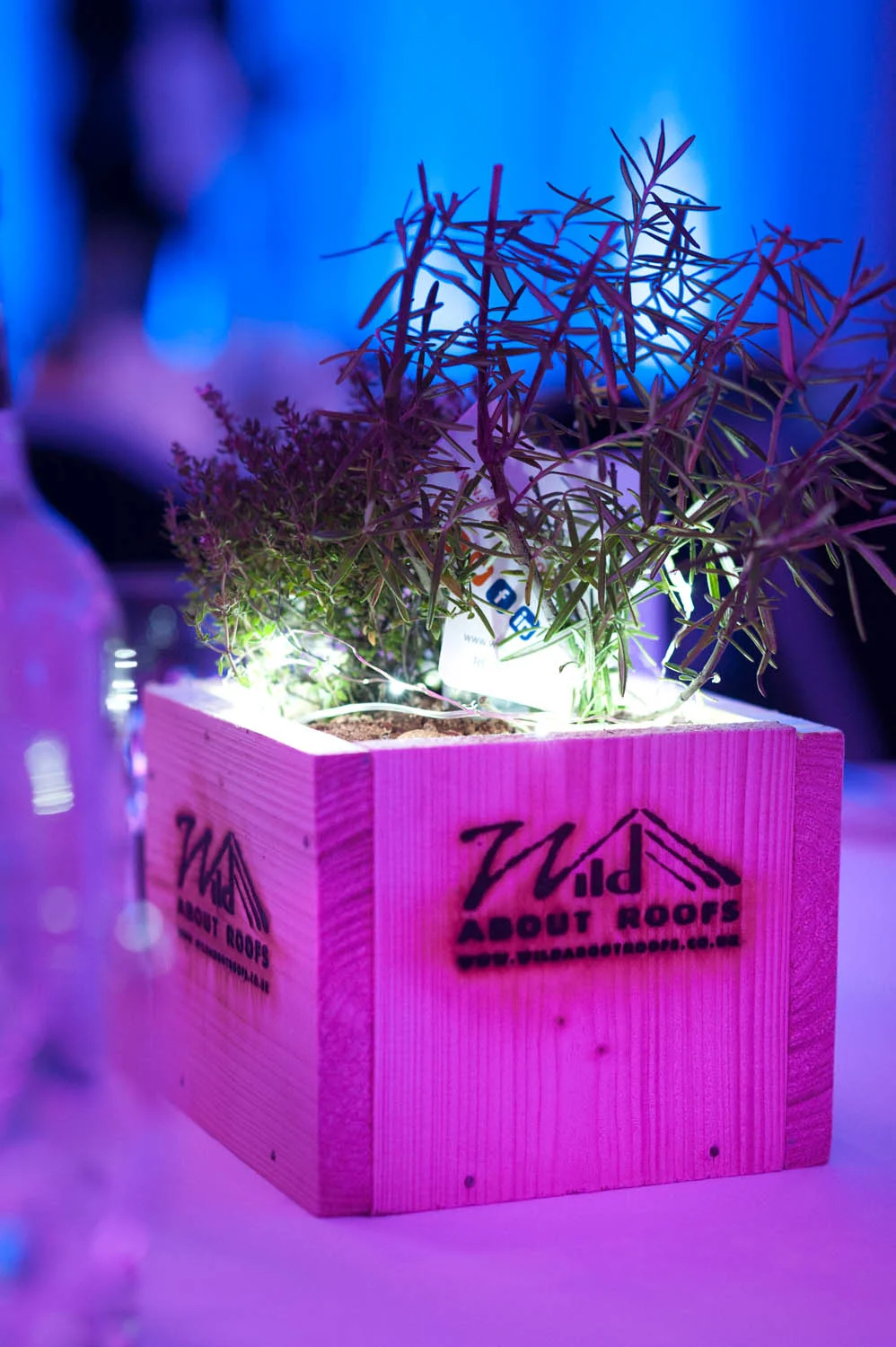 PAUL-TANNER-EVENTS-PHOTOGRAPHY_008.jpg