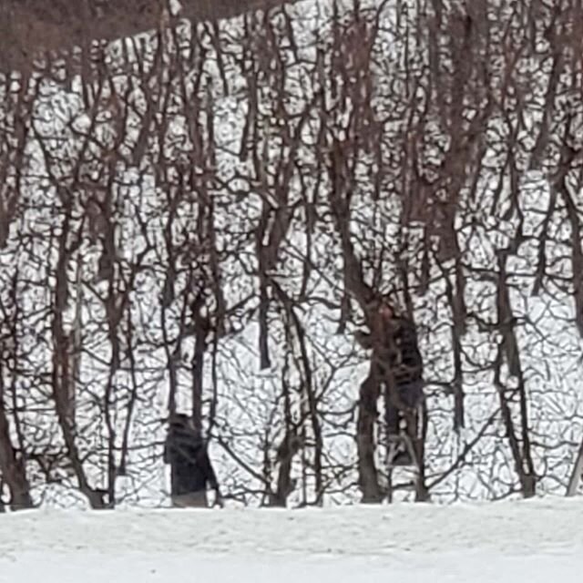 Neither rain nor sleet nor snow can keep our orchard team from winter pruning!