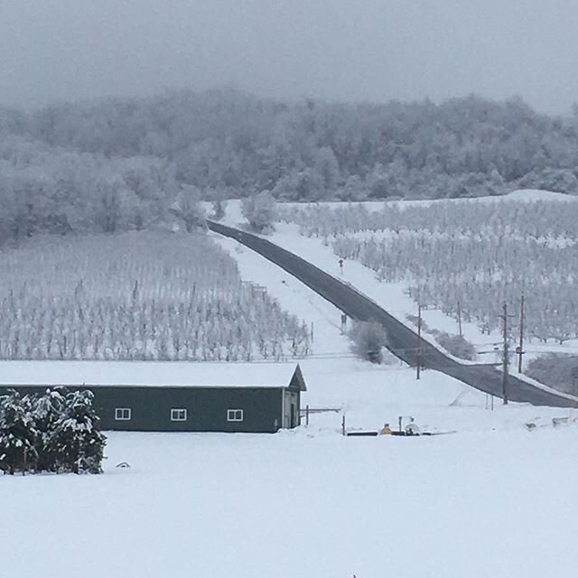 Snowy day in the Valley #nyapplecountry #familyfarm #nygrownandcertified #crunchtimeapplegrowers