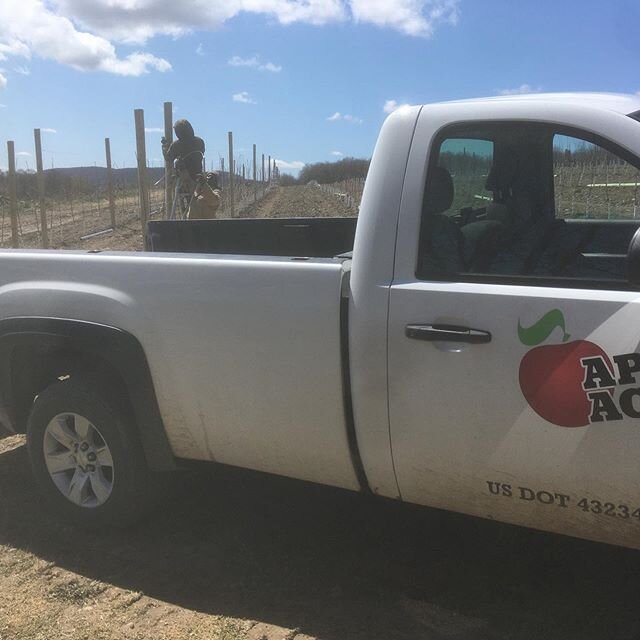 New Orchards being put in by Steve and his team; Jerry, Leroy, Lindsay, JR, Luis, Parks, Douglas, Bailey, Dixon, Lawson &amp; Tyndale