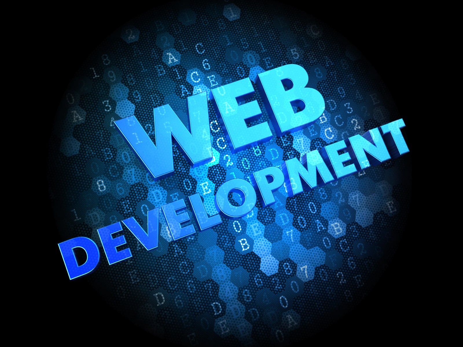 Programming & Web Development3.jpg