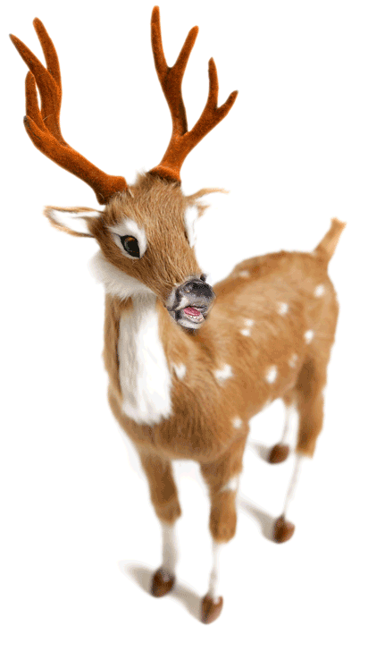 deer.gif