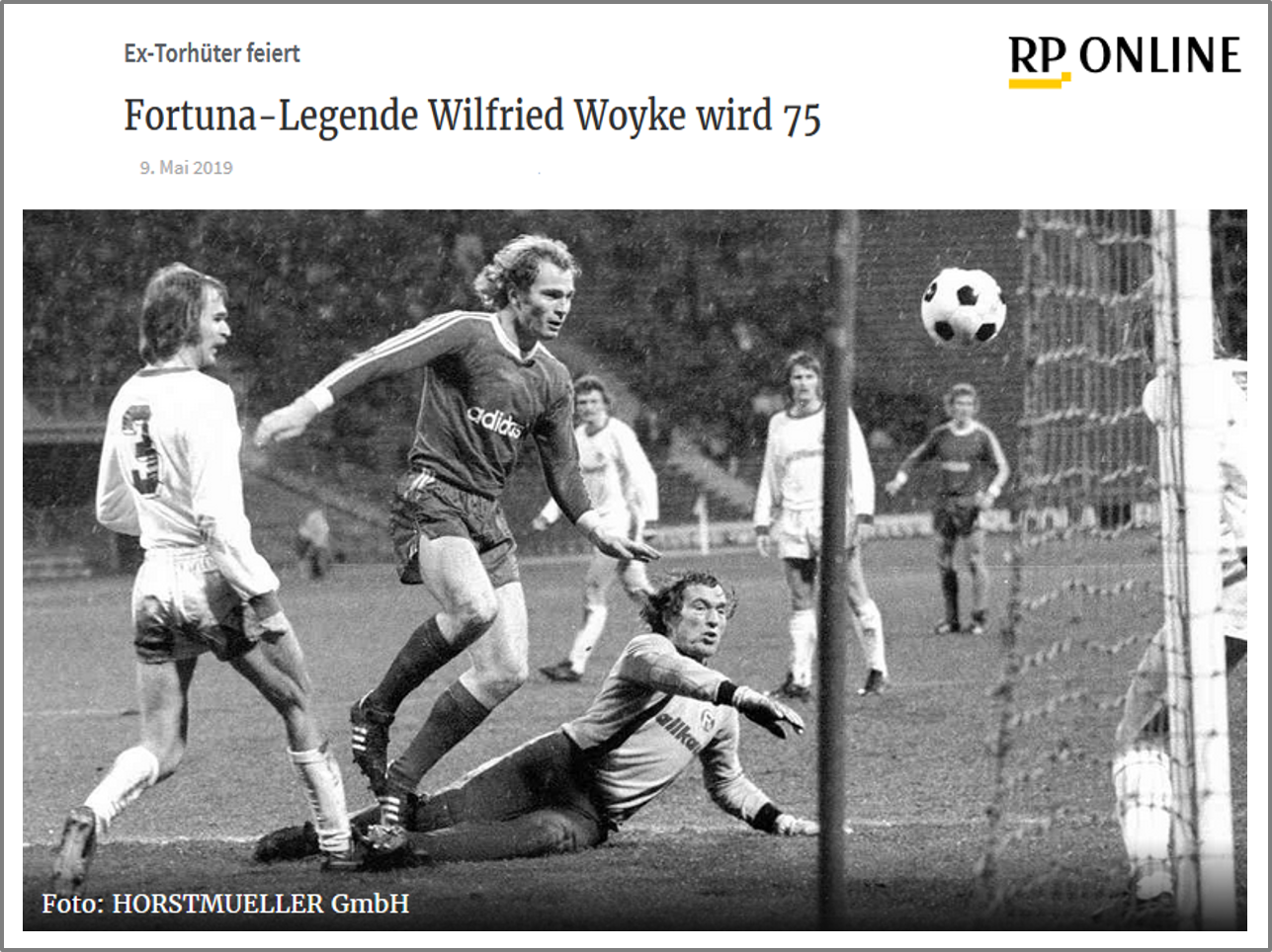 2019 Woyke 75 Fortuna.png