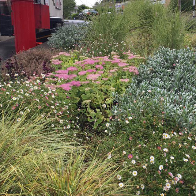 Mixed perennial planting, Harden Post Office and War Memorial