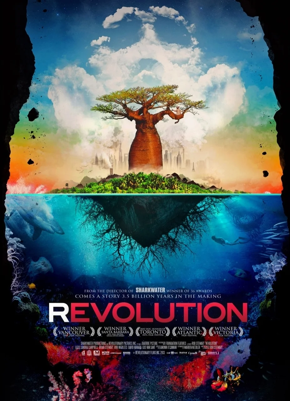 Revolution Film poster.jpg