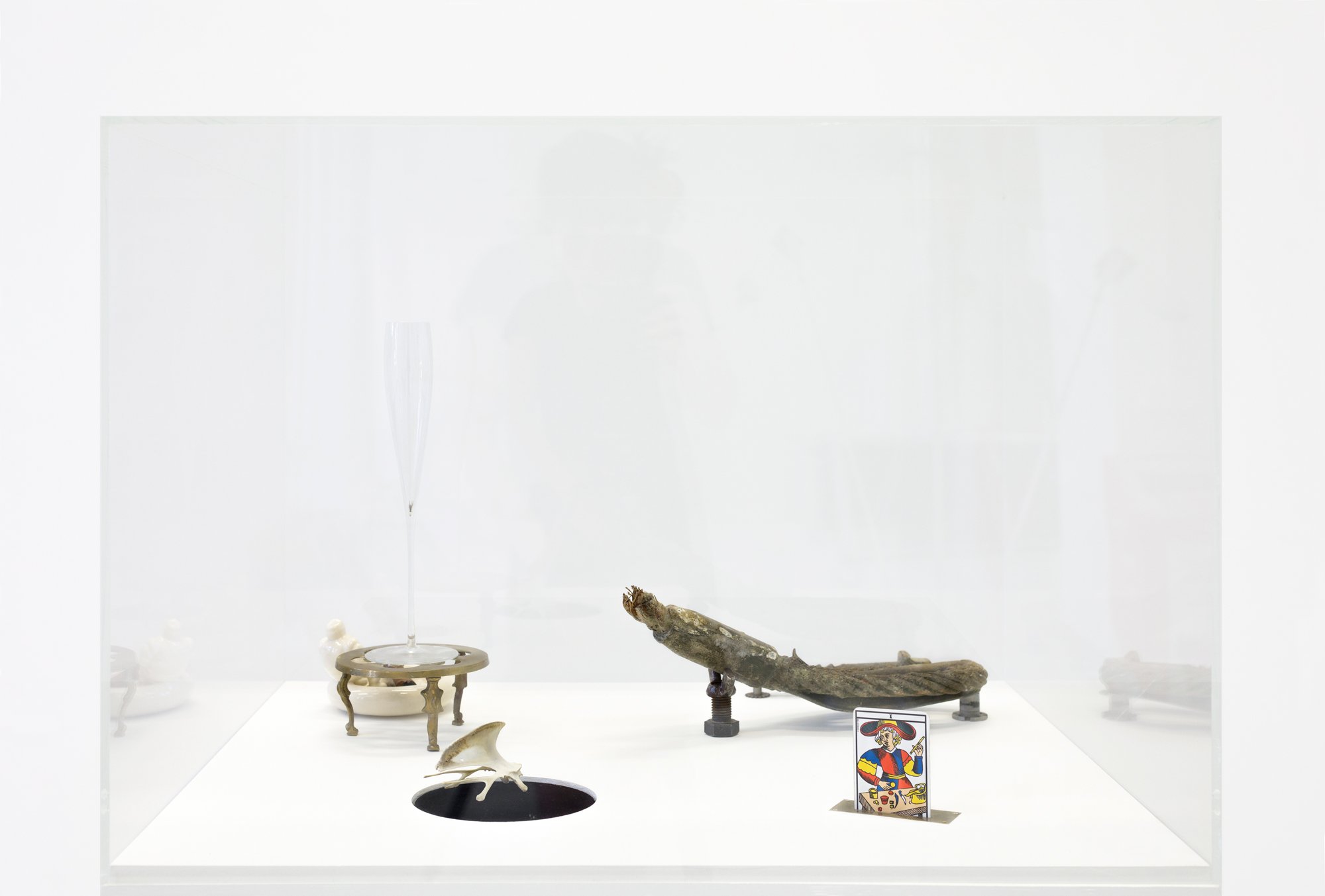   40524839 , custom made cabinet, tarot card, chicken bone, motor, champagne flute, dead fly, steel rope, michelin ceramic ashtray with half smoked cuban cigar, 2018 
