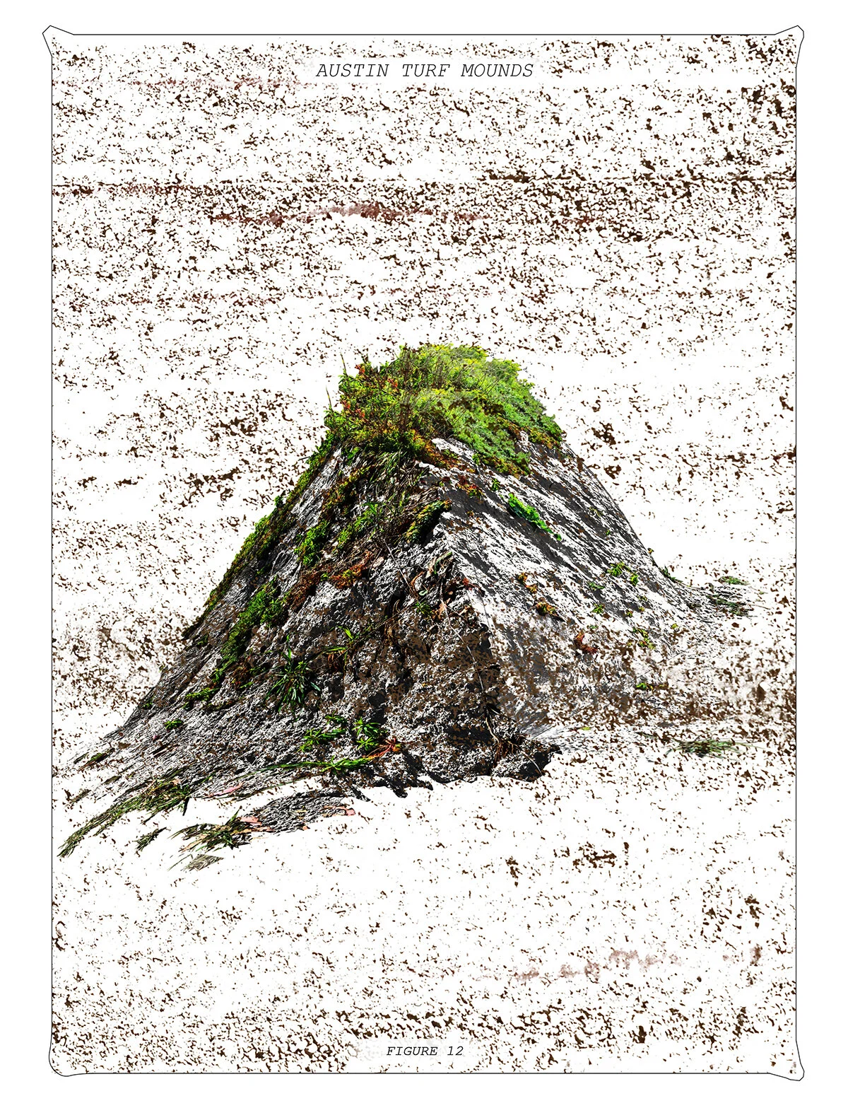 Turf Mound [phase 3], C. Falliers