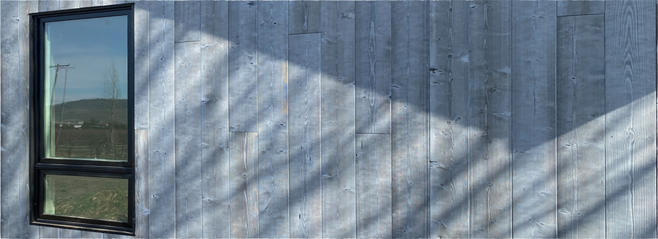 BONNESS_dtl1_031522.png