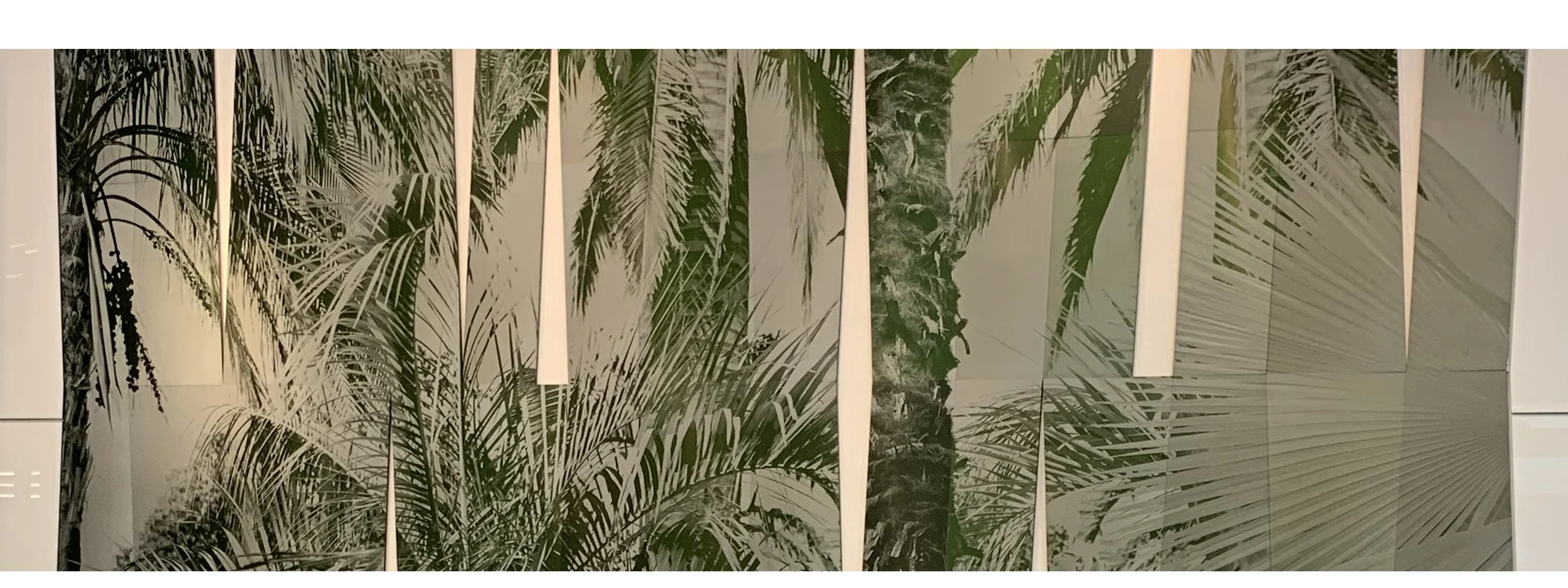 Tropicalismo Revisited [detail], Catherine Wagner, Artist