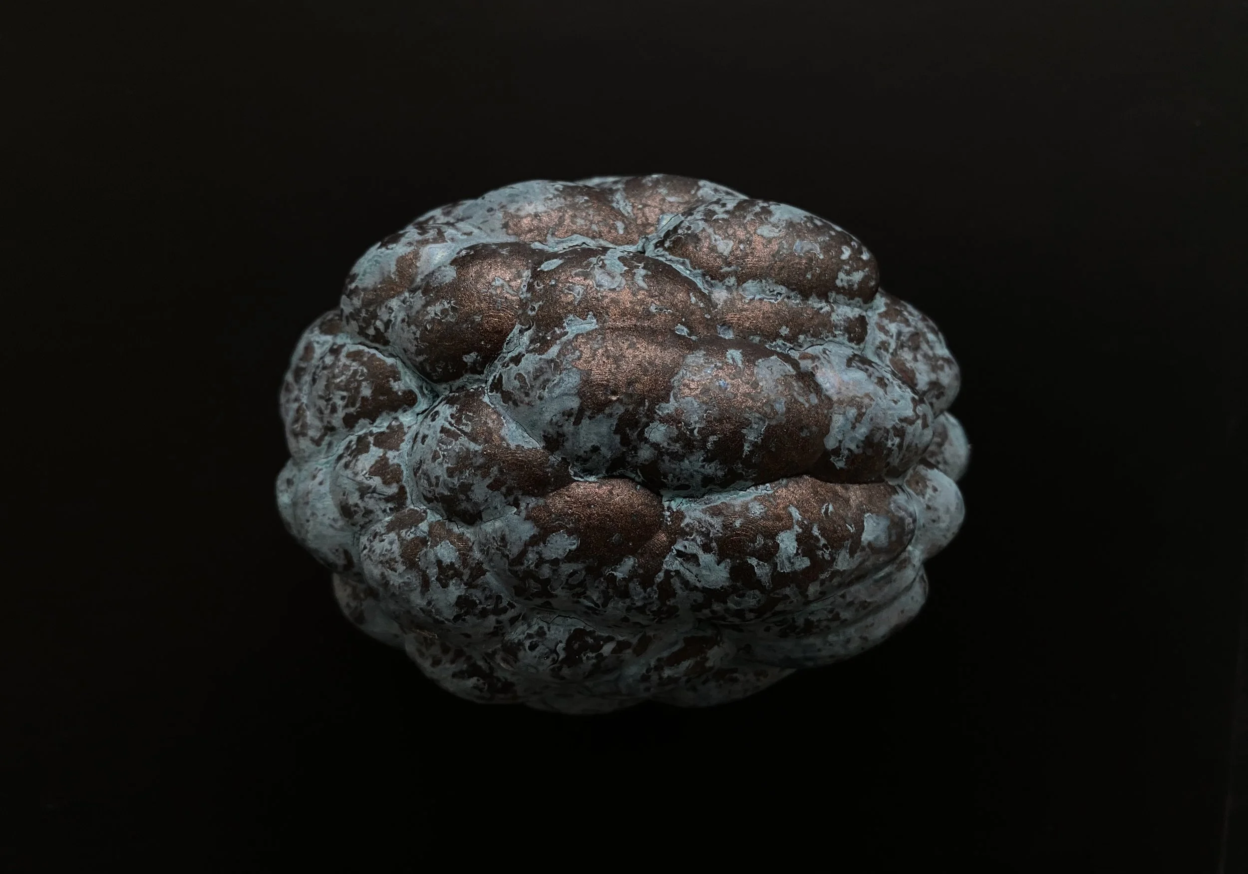 remnant XIV