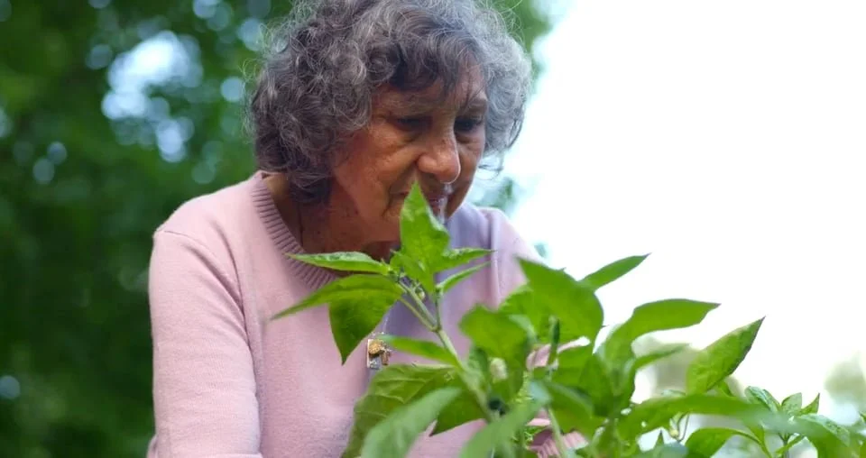 Alzheimer's Community Partnership Story