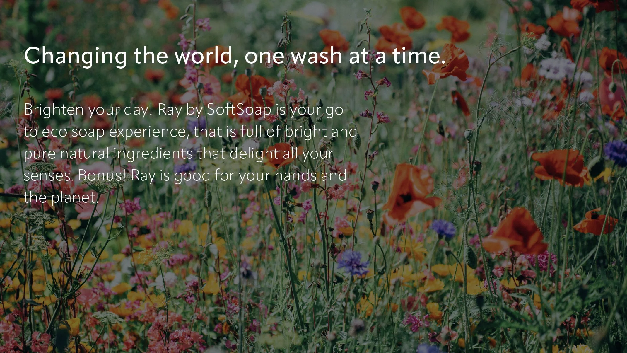 soapsheet_website-21.jpg