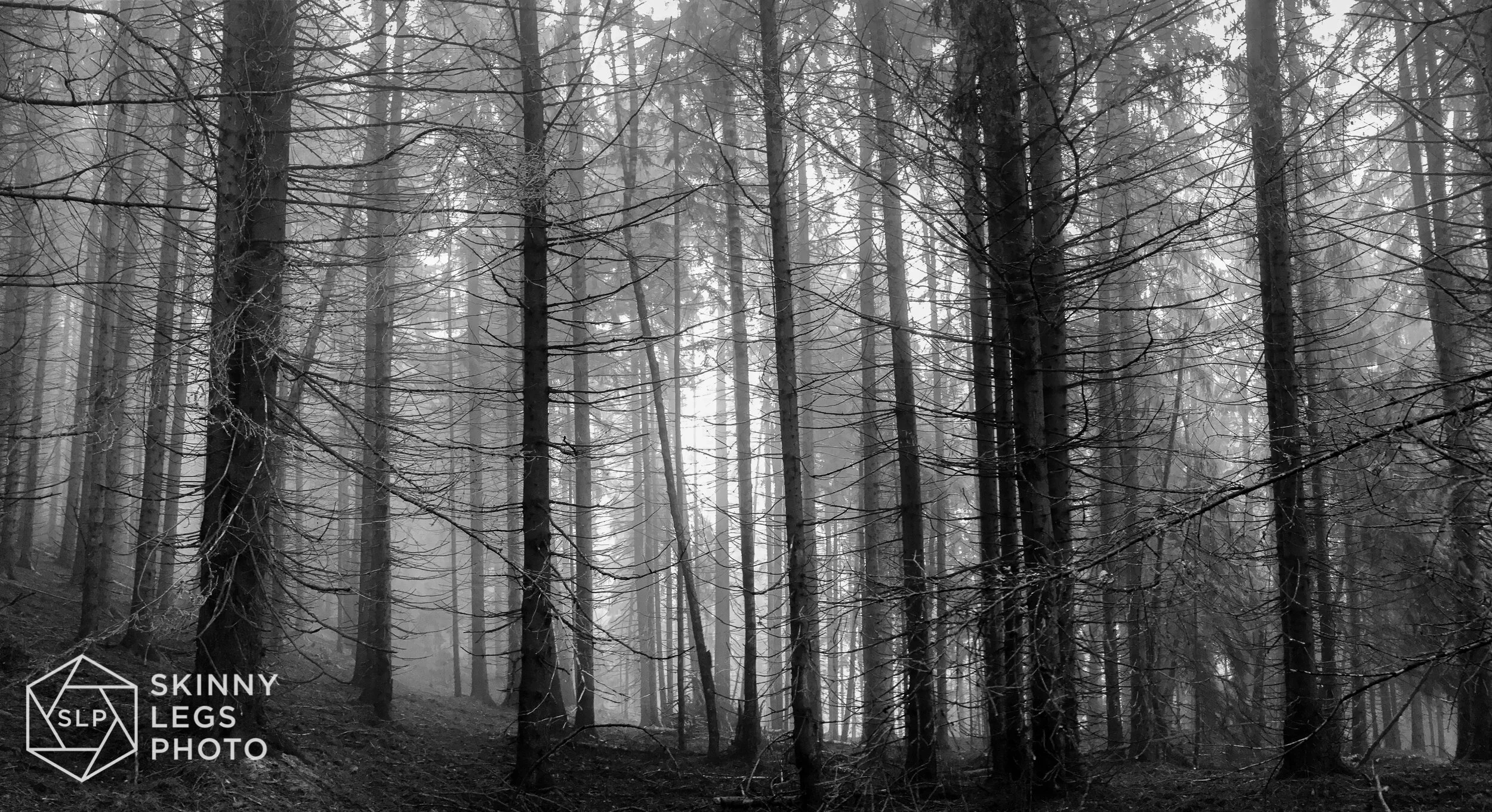 Trees