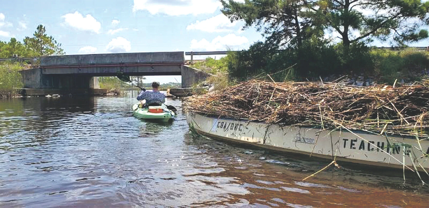 Photo: Choctawhatchee Basin Alliance The invasive reeds form dense bamboo-like stands that can choke out waterways, like the channel connecting Western Lake to Grayton.