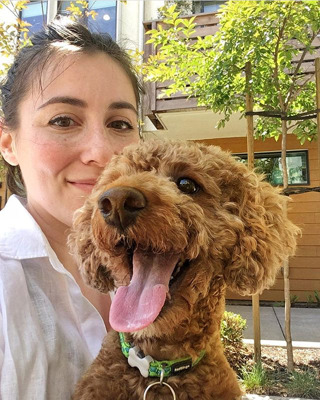 Rebecca Pet Services Dog Daycare In Home Sitter San Pablo California SF CA Bay Service