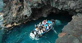 Captain Zodiac Raft, Snorkel & Dolphin Adventure