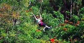 Rainforest Zipline & Waterfall Adventure