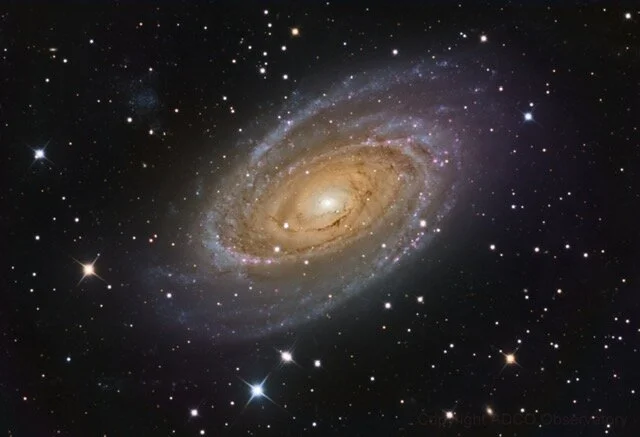 m81.jpg