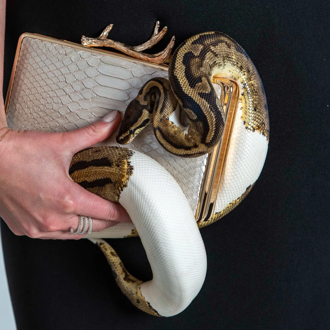 Taxidermy Summer 24 Studio_LittlePalmStudio-3.jpg