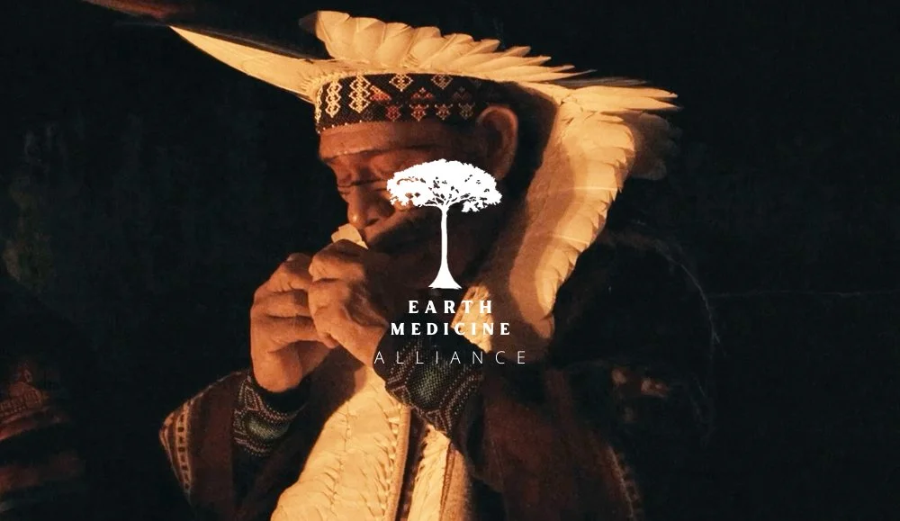 earth_medicine_thumb copy.jpg