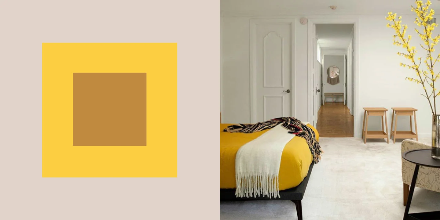 website layout1.jpg