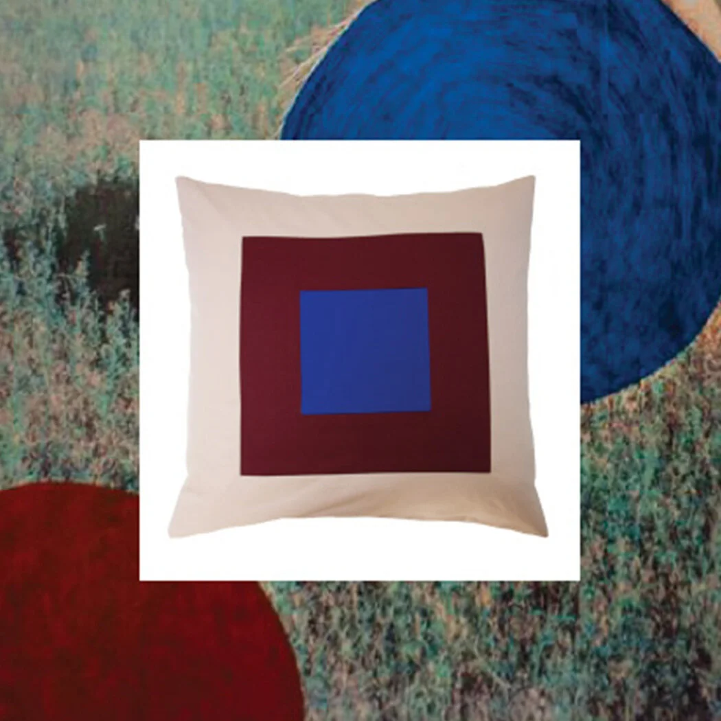 promos_20” x 20” pillows.jpg