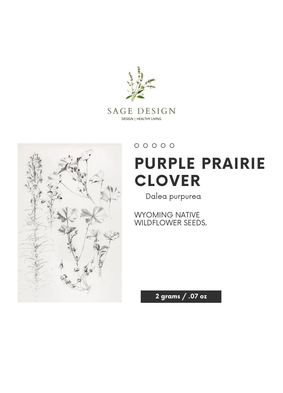 NATIVE SEED PACKETS.jpg