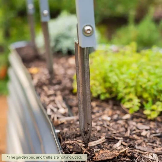 trellisanchor2.jpg (Copy)