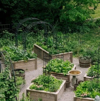 1tgardenPicture6.jpg